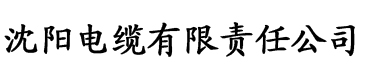 亚洲最大a一级毛片免费观看电缆厂logo